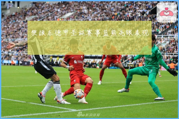 樊振东德甲圣诞赛事蓝熊亮眼表现