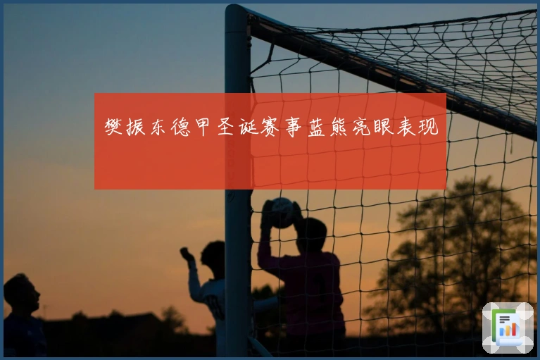 樊振东德甲圣诞赛事蓝熊亮眼表现