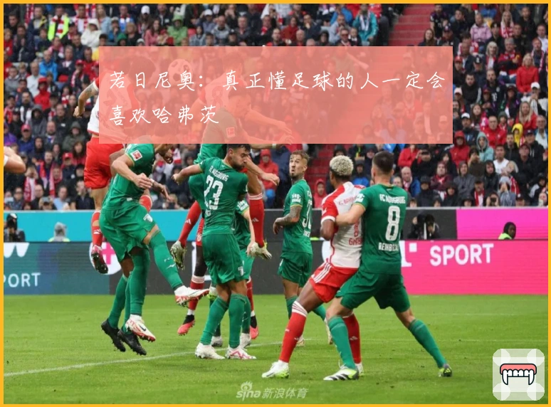 若日尼奥：真正懂足球的人一定会喜欢哈弗茨